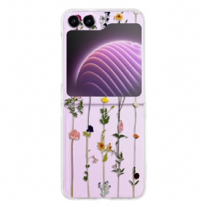 Cover Til Samsung Galaxy Z Flip 5 Gennemsigtige Små Blomster