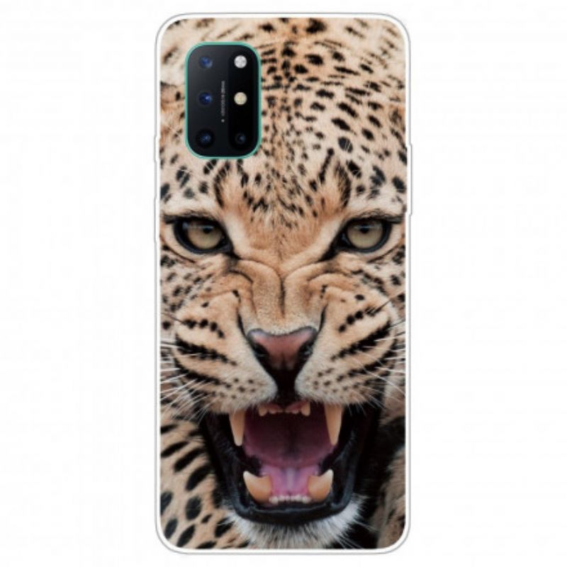 Cover OnePlus 8T Fabelagtig Feline