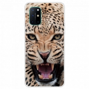 Cover OnePlus 8T Fabelagtig Feline