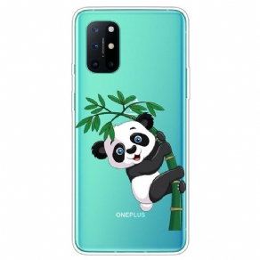 Mobilcover OnePlus 8T Sømløs Panda På Bambus