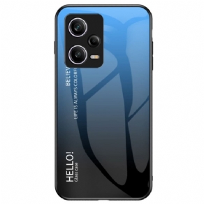 Cover Poco X5 Pro 5G Hærdet Glas Hej