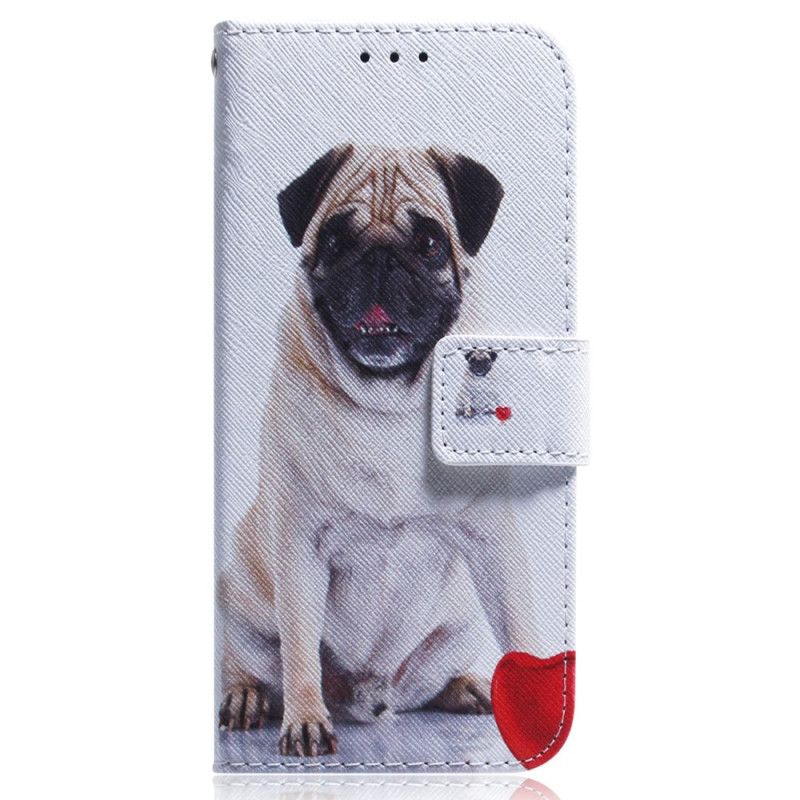 Flip Cover OnePlus Nord 2T 5G Med Snor Thong Pug Dog