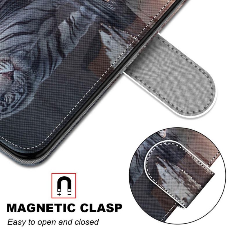 Flip Cover Samsung Galaxy M52 5G Kattemødre