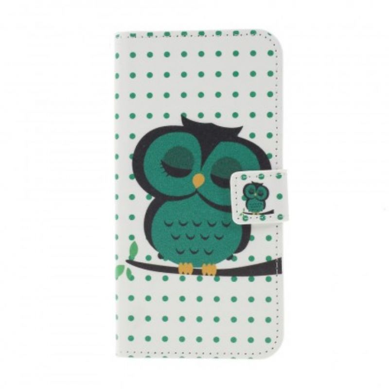 Flip Cover Samsung Galaxy S10 Plus Sovende Ugle