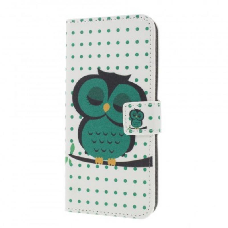 Flip Cover Samsung Galaxy S10 Plus Sovende Ugle