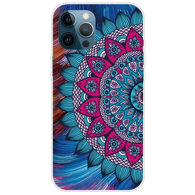 Cover iPhone 14 Pro Max Farverig Mandala