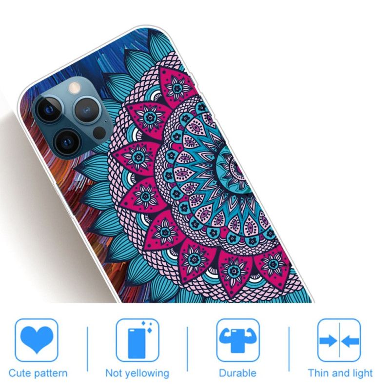 Cover iPhone 14 Pro Max Farverig Mandala