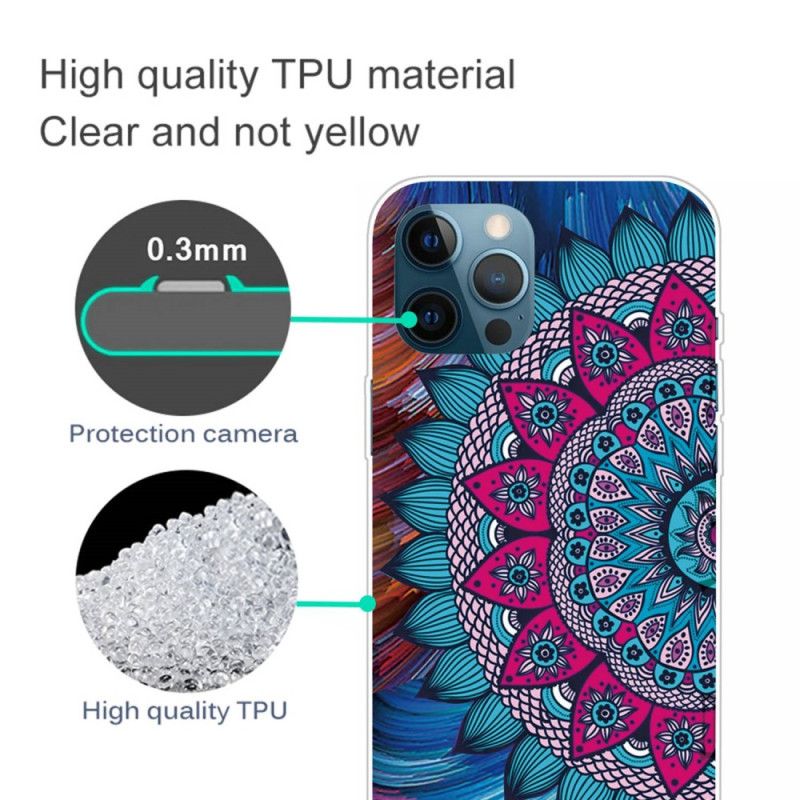 Cover iPhone 14 Pro Max Farverig Mandala