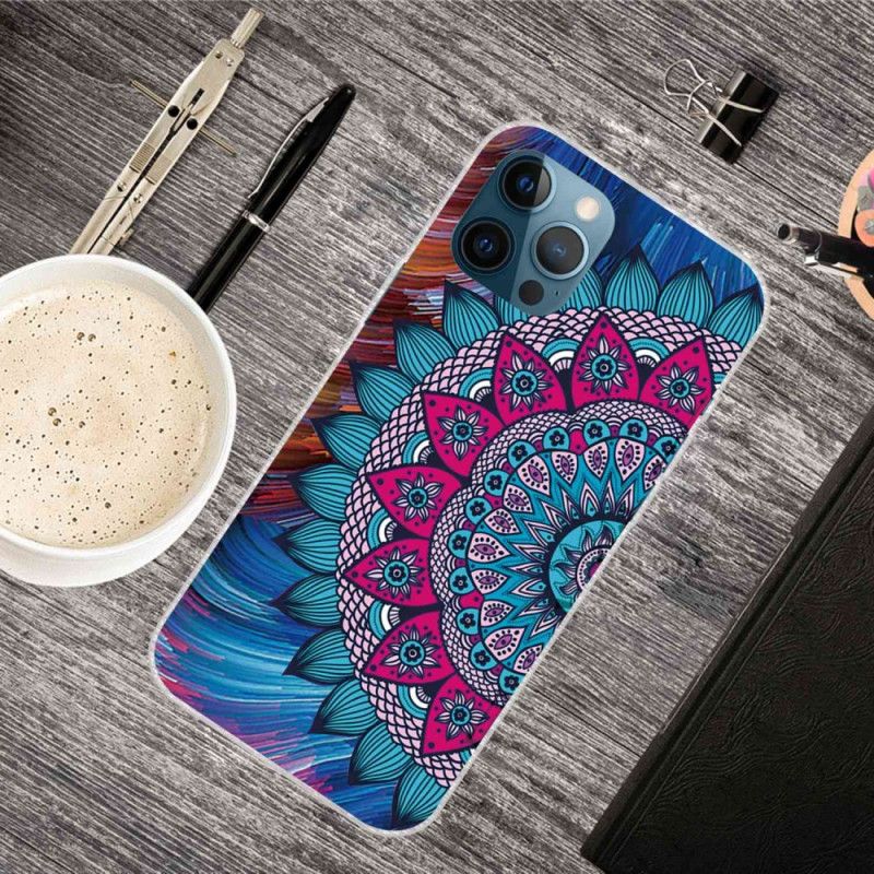 Cover iPhone 14 Pro Max Farverig Mandala