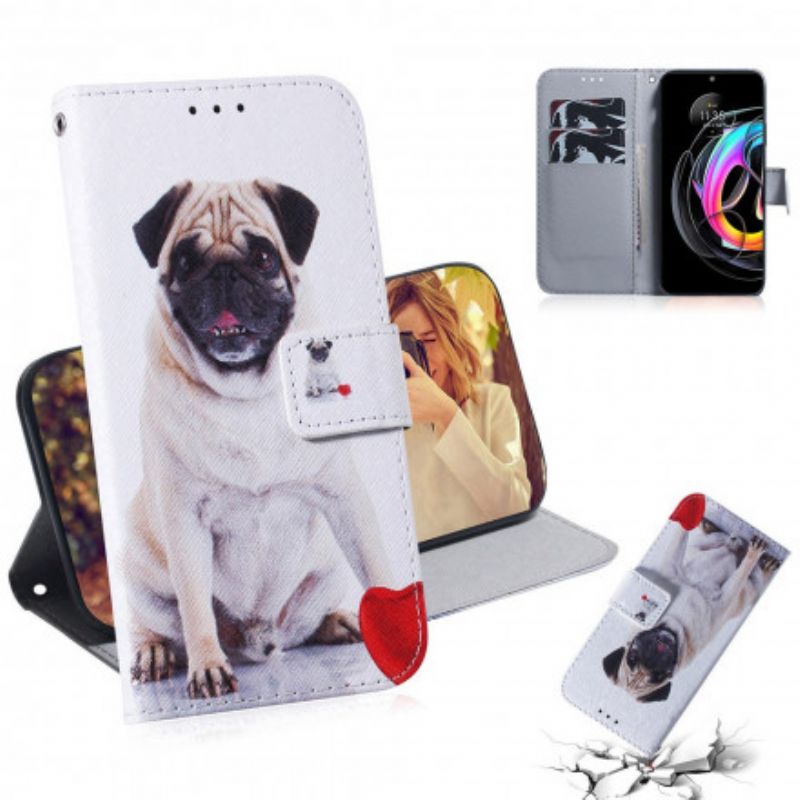 Læder Cover Motorola Edge 20 Lite Pug Dog